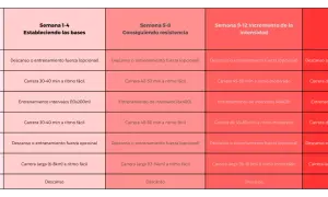 Plan entrenamiento media maratón: tabla semanal con carreras, intervalos y descanso. ¡Prepara tu carrera!