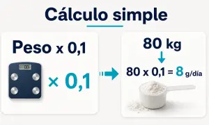 Cálculo simple: peso x 0,1 = dosis creatina por peso. Ejemplo: 80 kg x 0,1 = 8 g/día.