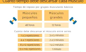 Guía de tiempo de recuperación muscular: 48h para músculos pequeños, 72h para grandes. Descanso entre series varía según repeticiones.