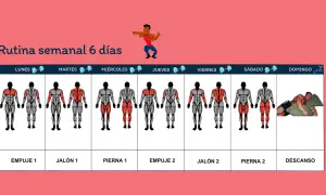 Rutina semanal de entrenamiento gimnasio. Muestra días, grupos musculares a trabajar y un día de descanso.