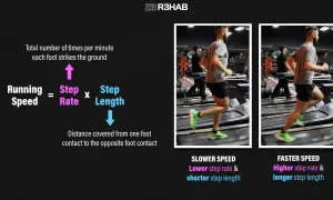 Gráfico explica cómo la cadencia correr (pasos por minuto) y la longitud de zancada determinan la velocidad.