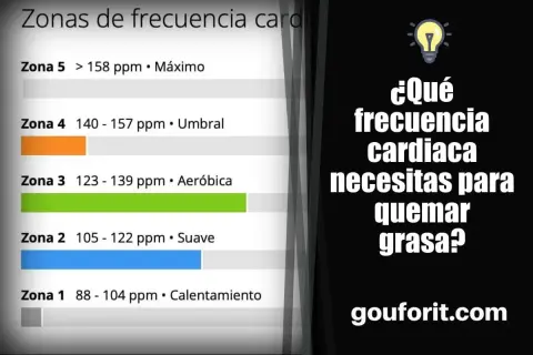 Tabla de zonas de frecuencia cardíaca para quemar grasa. Muestra zonas de calentamiento, suave, aeróbica, umbral y máxima.