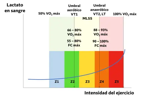 Gráfico de lactato en sangre vs. intensidad del ejercicio, mostrando zonas de entrenamiento y umbrales para optimizar el threshold running.