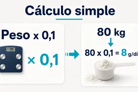 Cálculo simple: peso x 0,1 = dosis creatina por peso. Ejemplo: 80 kg x 0,1 = 8 g/día.