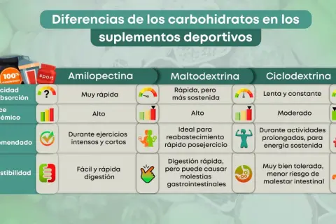 Tabla comparativa de carbohidratos en suplementos deportivos: la amilopectina es de absorción muy rápida, ideal para ejercicios intensos.
