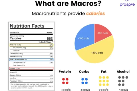 Tabla nutricional de un Big Mac y gráfico de calorías. Aprende a calcular macros para entender tu ingesta.