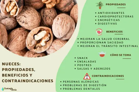 Las nueces son buenas para la salud cerebral, el corazón y la digestión. Son un snack energético y se usan en ensaladas y postres.