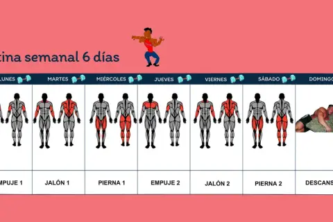 Rutina semanal de entrenamiento gimnasio. Muestra días, grupos musculares a trabajar y un día de descanso.