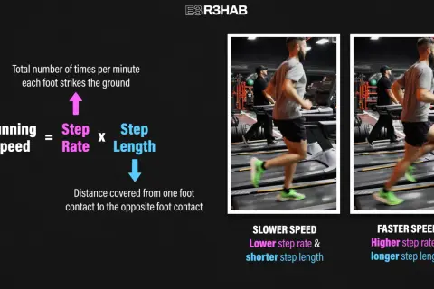Gráfico explica cómo la cadencia correr (pasos por minuto) y la longitud de zancada determinan la velocidad.