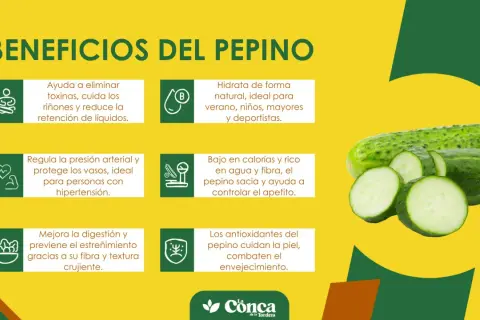 Descubre los beneficios de comer pepino: hidrata, depura, regula la presión, mejora la digestión y cuida tu piel. ¡Un aliado saludable!