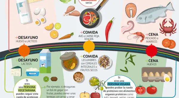 Rueda de proteínas para deportistas: desayunos con lácteos o huevo, comidas con ave/carne magra, cenas con pescado/marisco. Evita alimentos refinados.