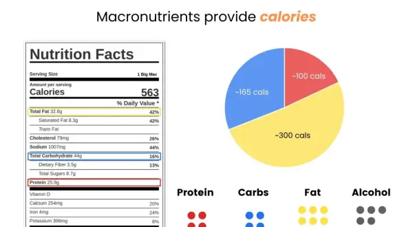 Tabla nutricional de un Big Mac y gráfico de calorías. Aprende a calcular macros para entender tu ingesta.