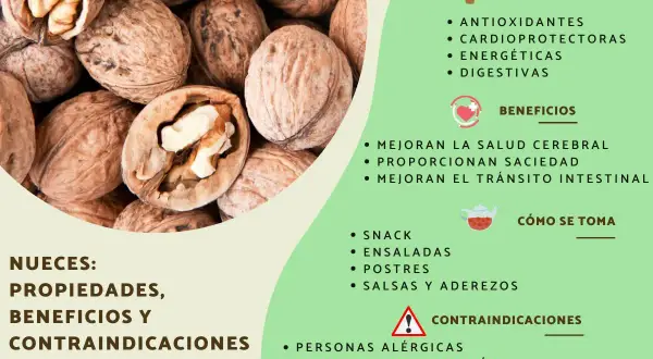 Las nueces son buenas para la salud cerebral, el corazón y la digestión. Son un snack energético y se usan en ensaladas y postres.