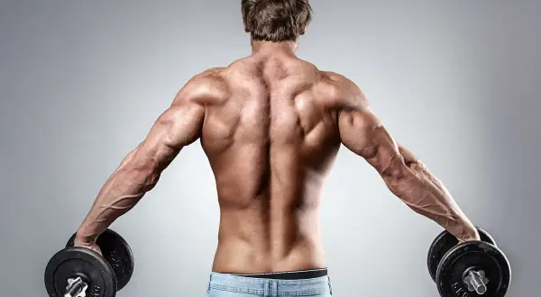 Espalda musculosa de hombre con pesas en cada mano, mostrando un ligero encogimiento de hombros.