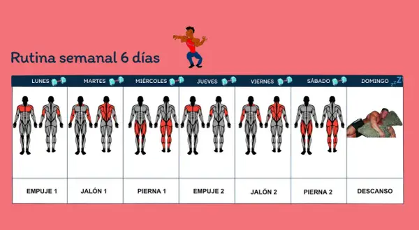 Rutina semanal de entrenamiento gimnasio. Muestra días, grupos musculares a trabajar y un día de descanso.