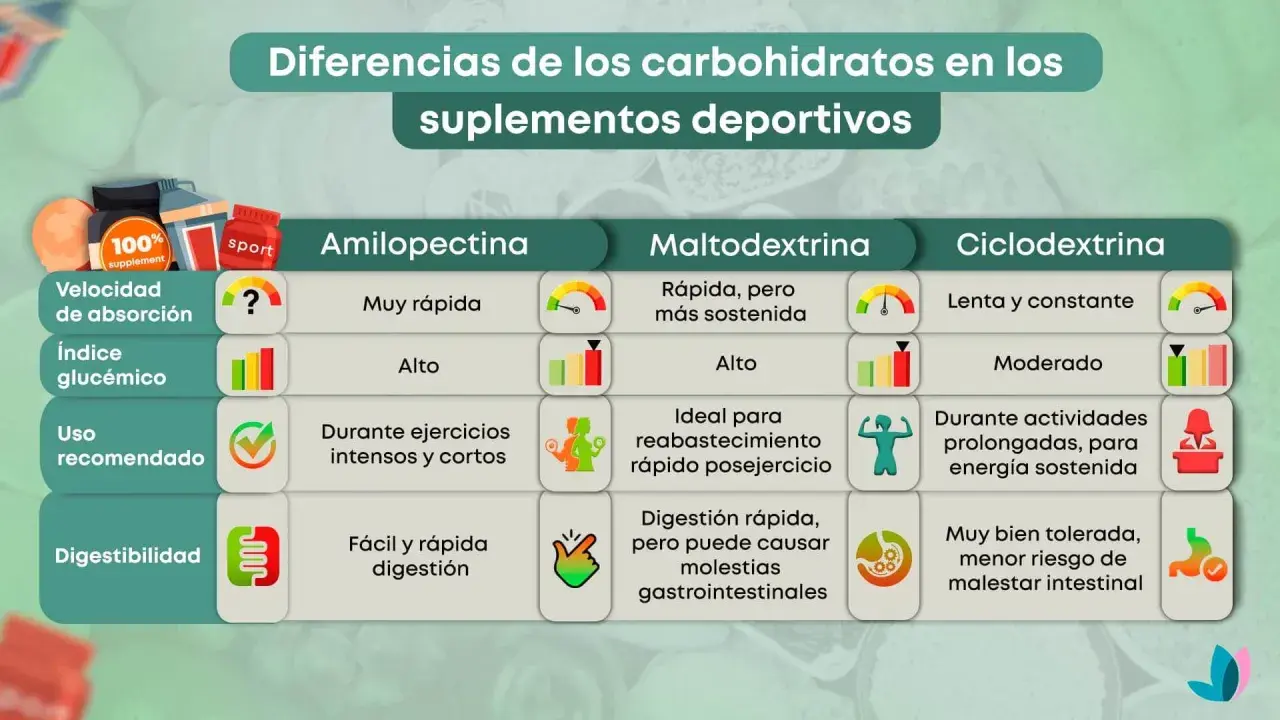 Tabla comparativa de carbohidratos en suplementos deportivos: la amilopectina es de absorción muy rápida, ideal para ejercicios intensos.