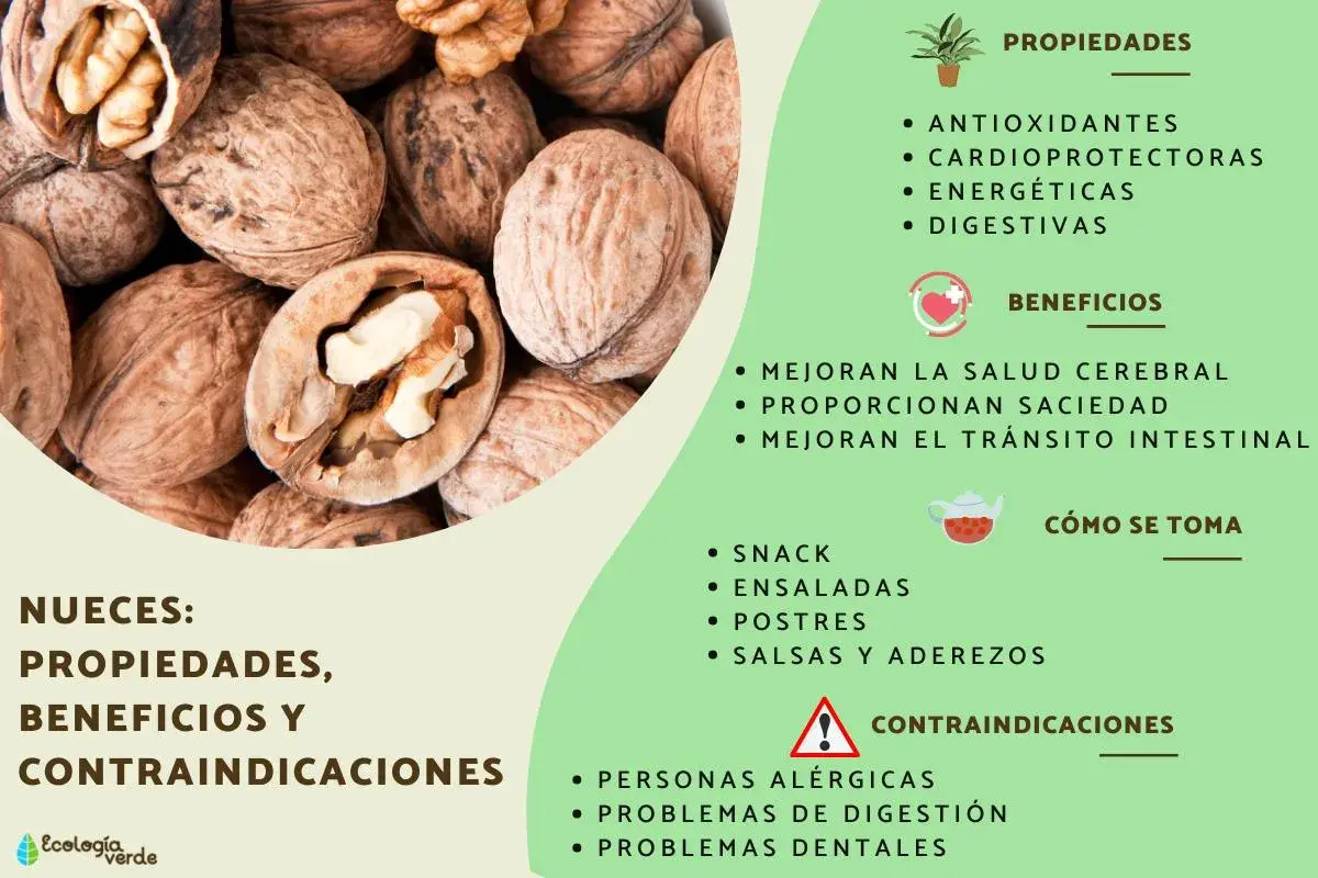 Las nueces son buenas para la salud cerebral, el corazón y la digestión. Son un snack energético y se usan en ensaladas y postres.