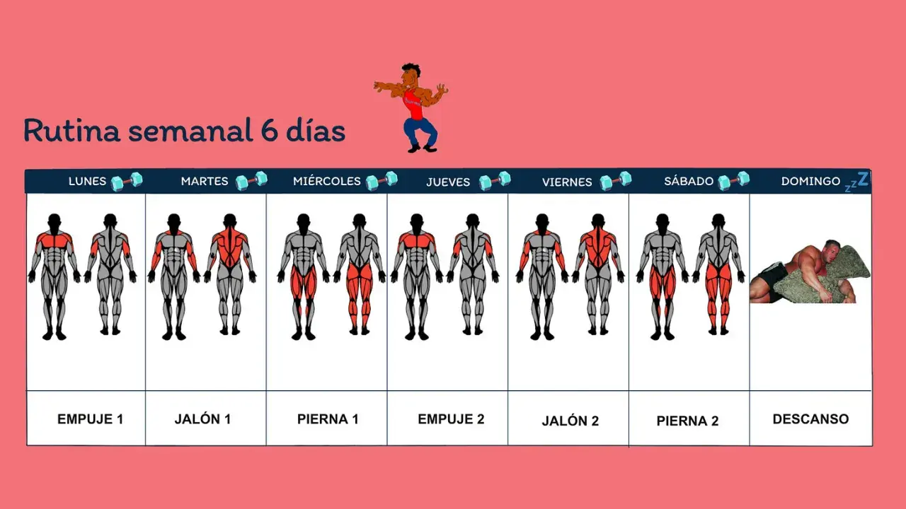 Rutina semanal de entrenamiento gimnasio. Muestra días, grupos musculares a trabajar y un día de descanso.