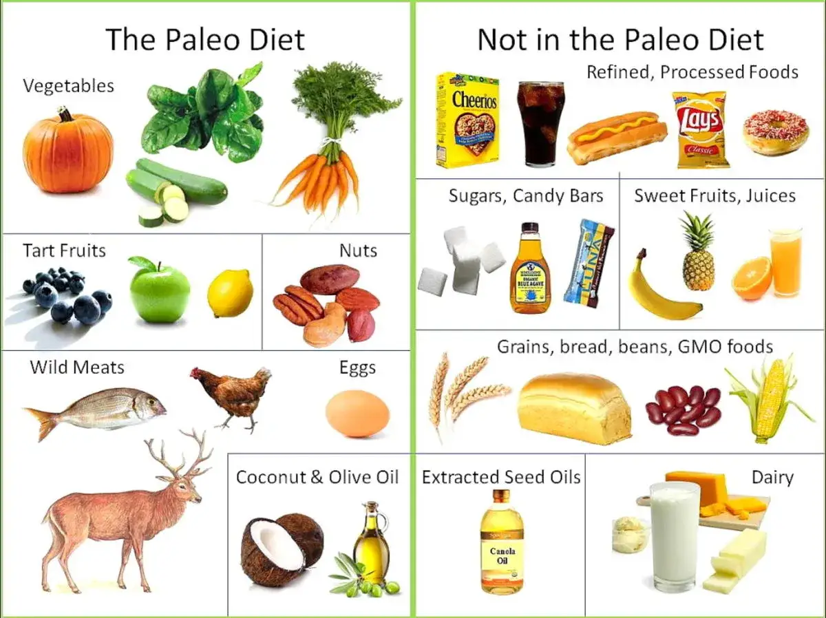 Dieta Paleo: verduras, frutas, frutos secos, carnes de caza, huevos, aceite de coco y oliva. Ideal para un paleo deporte.