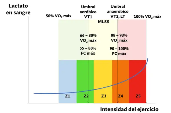 Gráfico de lactato en sangre vs. intensidad del ejercicio, mostrando zonas de entrenamiento y umbrales para optimizar el threshold running.