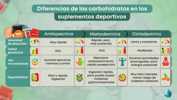 Tabla comparativa de carbohidratos en suplementos deportivos: la amilopectina es de absorción muy rápida, ideal para ejercicios intensos.