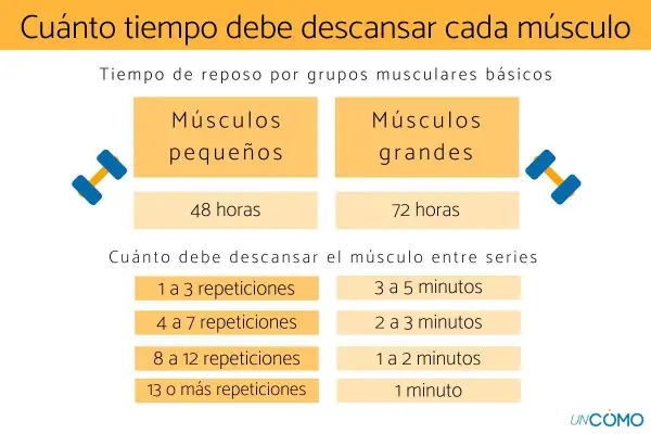 Guía de tiempo de recuperación muscular: 48h para músculos pequeños, 72h para grandes. Descanso entre series varía según repeticiones.
