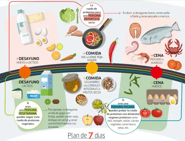 Rueda de proteínas para deportistas: desayunos con lácteos o huevo, comidas con ave/carne magra, cenas con pescado/marisco. Evita alimentos refinados.