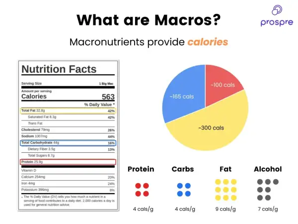 Tabla nutricional de un Big Mac y gráfico de calorías. Aprende a calcular macros para entender tu ingesta.
