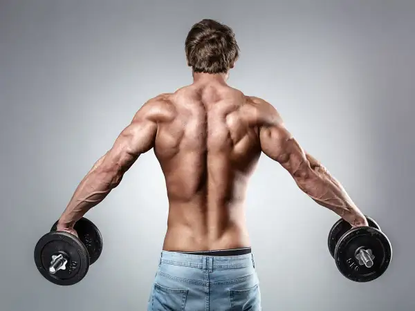 Espalda musculosa de hombre con pesas en cada mano, mostrando un ligero encogimiento de hombros.