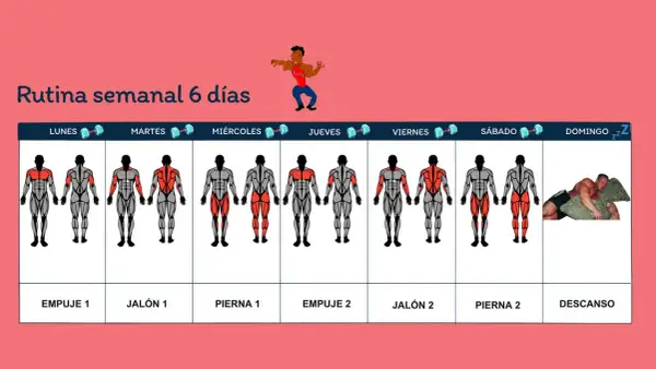 Rutina semanal de entrenamiento gimnasio. Muestra días, grupos musculares a trabajar y un día de descanso.