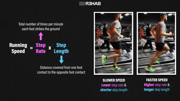 Gráfico explica cómo la cadencia correr (pasos por minuto) y la longitud de zancada determinan la velocidad.
