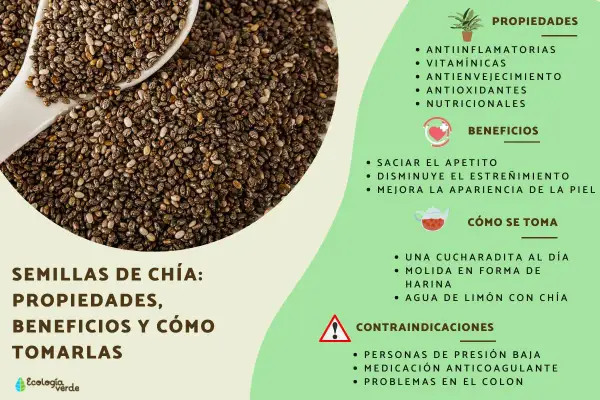 Semillas de chía: propiedades, beneficios y cómo tomar chía. Incluye información sobre sus usos y contraindicaciones.