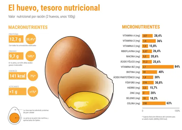 Un huevo aporta 12,7 gramos de proteína, además de grasas, vitaminas y minerales.