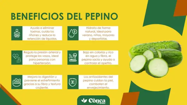 Descubre los beneficios de comer pepino: hidrata, depura, regula la presión, mejora la digestión y cuida tu piel. ¡Un aliado saludable!